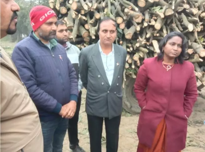लो जी रातो रात पेड़ काटकर आम के बाग को बना दिया मैदान