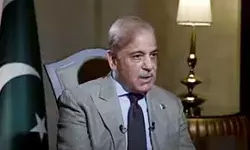 भिखारी बने पाक को दी सलाह- कश्मीर भूलकर भारत से कर लो...