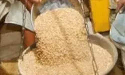 बजट में गरीबों ने भी मारा मैदान- इतने साल मुफ्त राशन का ऐलान बजट में गरीबों ने भी मारा मैदान- इतने साल मुफ्त राशन का ऐलान