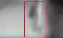 रात के अंधेरे में सड़क पर निर्वस्त्र घूमती महिला से लोगों में दहशत रात के अंधेरे में सड़क पर निर्वस्त्र घूमती महिला से लोगों में दहशत