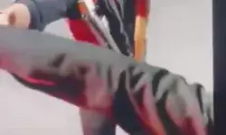 सड़क पर छलकाए जाम- फॉर्च्यूनर में बैठकर की फायरिंग