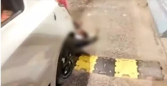 टक्कर मार युवक को खींचकर ले गई कार- सिर्फ चेहरा बचा शरीर बना लोथड़ा