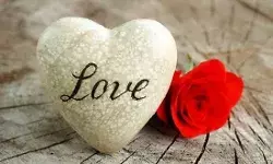 मेरी कविता– नहीं हैं मुझको उससे प्यार तो क्यों मैं स्वीकार करूं। मेरी कविता– नहीं हैं मुझको उससे प्यार तो क्यों मैं स्वीकार करूं।