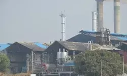 शासन की संख्ती का असर- भैसाना मिल ने किया शत प्रतिशत भुगतान शासन की संख्ती का असर- भैसाना मिल ने किया शत प्रतिशत भुगतान