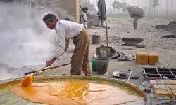 विजिलेंस के छापे में चोरी की बिजली से चलते मिले गुड कोल्हू विजिलेंस के छापे में चोरी की बिजली से चलते मिले गुड कोल्हू