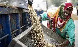 महंगाई पर लगाम लगाने के लिए केंद्र सरकार ने किया यह बड़ा काम महंगाई पर लगाम लगाने के लिए केंद्र सरकार ने किया यह बड़ा काम