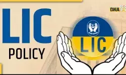 एलआईसी चेयरमैन का बड़ा बयान अदानी कंपनियों में अब निवेश नहीं एलआईसी चेयरमैन का बड़ा बयान अदानी कंपनियों में अब निवेश नहीं