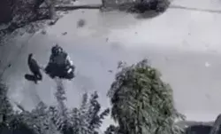 दिनदहाड़े SDM की पत्नी से लूट- घर से सिर्फ 50 मीटर की दूरी पर हुई घटना दिनदहाड़े SDM की पत्नी से लूट- घर से सिर्फ 50 मीटर की दूरी पर हुई घटना