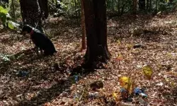 वफादारी की मिसाल- जवानों को बचाने के लिए कुत्ते ने दी अपनी जान वफादारी की मिसाल- जवानों को बचाने के लिए कुत्ते ने दी अपनी जान