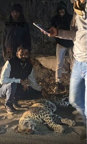 किसी की गई जान- लोगों को उसके साथ स्माइल सेल्फी की पड़ी