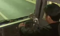 नशे में टल्ली चालक हुआ फरार- यात्री बस चलाकर पहुंचा रोडवेज स्टैंड नशे में टल्ली चालक हुआ फरार- यात्री बस चलाकर पहुंचा रोडवेज स्टैंड