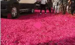 वाह इसे कहते हैं शाही ठाठ- प्रियंका के लिए बिछाई गुलाब की पंखुड़ियां वाह इसे कहते हैं शाही ठाठ- प्रियंका के लिए बिछाई गुलाब की पंखुड़ियां