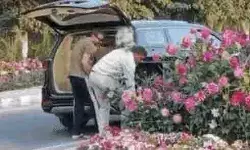 लो कर लो बात- 40 लाख की कार में 400 के पौधे चोरी- बेच दिया ईमान