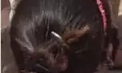 वादा करके नहीं पहुंचा बॉयफ्रेंड- लड़की का बीच सड़क पर हाई वोल्टेज ड्रामा वादा करके नहीं पहुंचा बॉयफ्रेंड- लड़की का बीच सड़क पर हाई वोल्टेज ड्रामा