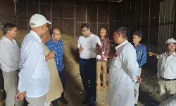 निराश्रित गोवंश के लिए कलेक्टर अरविन्द ने अफसरों को दी हिदायत