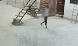 गजब की चोरी- चौकीदार को बनाया बंधक- 10 लाख की दवा लेकर फरार