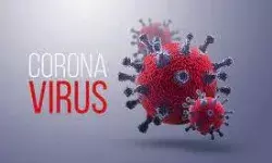 डॉक्टर समेत 2 लोगों में हुई कोरोना वायरस की पुष्टि - हड़कंप डॉक्टर समेत 2 लोगों में हुई कोरोना वायरस की पुष्टि - हड़कंप