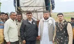 55 घंटे की मेहनत आई काम- महिला की जान लेने वाला गुलदार हुआ कैद 55 घंटे की मेहनत आई काम- महिला की जान लेने वाला गुलदार हुआ कैद