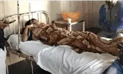 कुट्टू के आटे से मचा कोहराम- एक सैकड़ा लोग बीमार- ताबड़तोड़ छापे कुट्टू के आटे से मचा कोहराम- एक सैकड़ा लोग बीमार- ताबड़तोड़ छापे