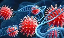 कोरोना फैला रहा अपने पांव- मिले 1590 नए मरीज-6 की हुई मौत कोरोना फैला रहा अपने पांव- मिले 1590 नए मरीज-6 की हुई मौत