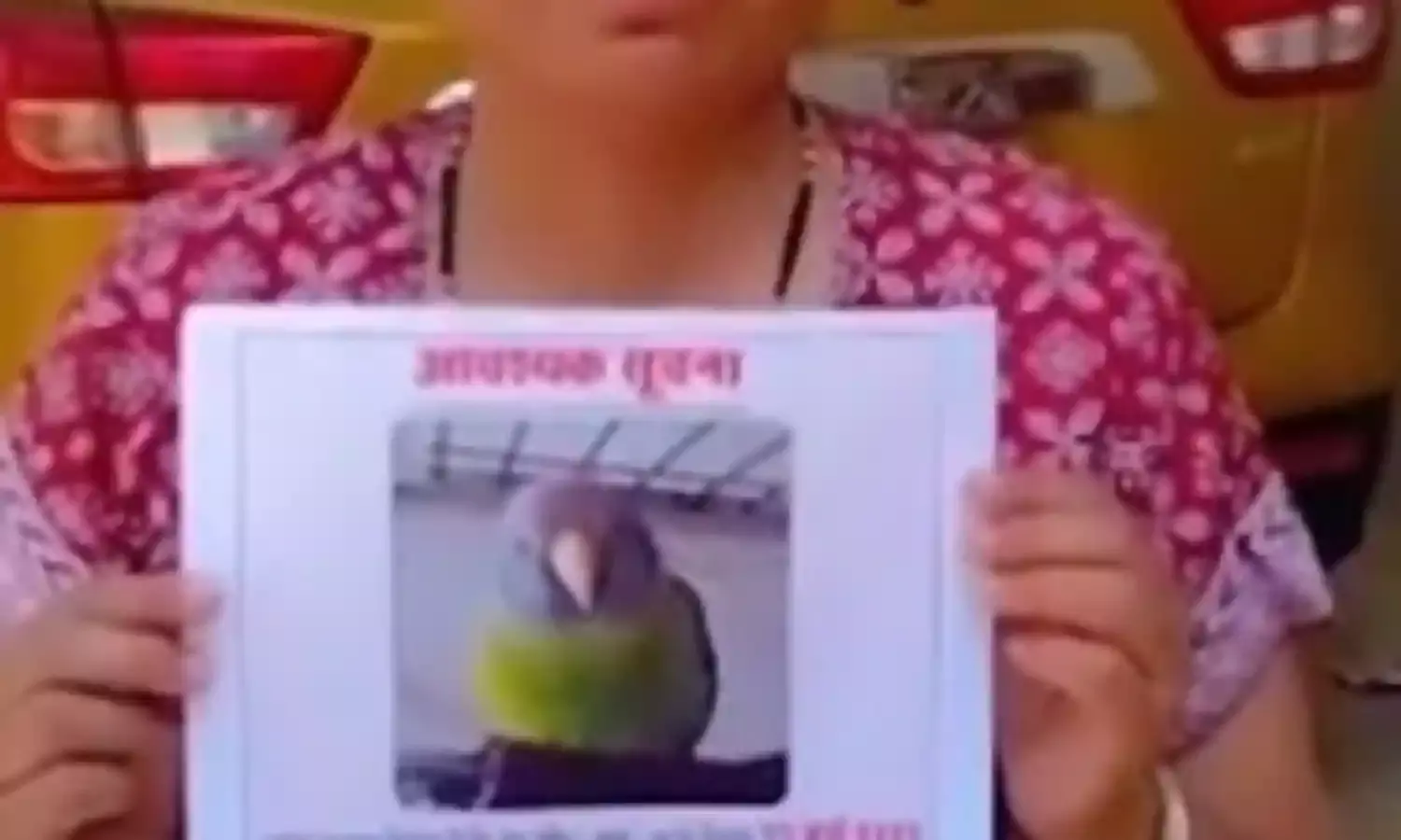 तोता लाओ और इनाम पाओ- ढूंढने या पता बताने वाले को मिलेंगे..