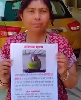 तोता लाओ और इनाम पाओ- ढूंढने या पता बताने वाले को मिलेंगे..