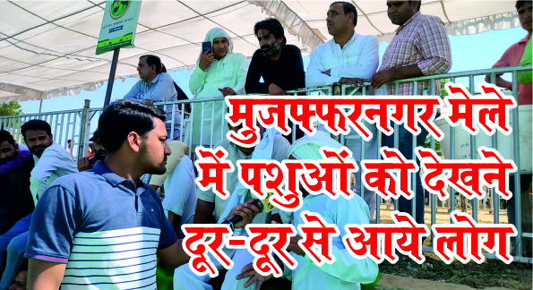 मुजफ्फरनगर मेले में पशुओं को देखने दूर-दूर से आये लोग- कह डाली ये बातें