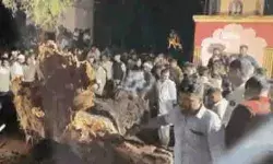 बारिश के दौरान टीन शेड पर गिरा पेड़ ले गया 7 लोगों की जान- दर्जनों घायल