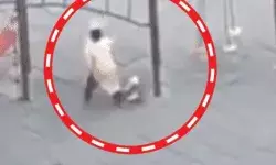 फिर आया कुत्तों के हमले का एक वीडियो सामने, जैसे-तैसे बची महिला की जान फिर आया कुत्तों के हमले का एक वीडियो सामने, जैसे-तैसे बची महिला की जान