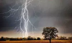 खेत में काम कर रहे किसान की मौत