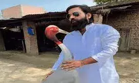 रिपोर्ट में हुआ खुलासा- अब आरिफ के पास नहीं जा सकेगा सारस