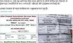 लेखपाल भर्ती परीक्षा परिणाम-जिसे नकल करते पकड़ा वह भी पास