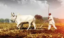 सीएम का ब्याजमाफी मास्टर स्ट्रोक- 2 लाख तक के कर्ज का ब्याज माफ