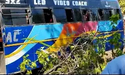 अनियंत्रित हुई बस घाटी में गिरी- दर्जनों घायल, कई गंभीर- मचा कोहराम