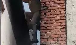 तीसरी मंजिल पर चढ़े दरोगा ने तोड़ी खिड़की- अब कमिश्नर देंगे इनाम तीसरी मंजिल पर चढ़े दरोगा ने तोड़ी खिड़की- अब कमिश्नर देंगे इनाम