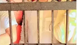 इनाम बढ़ाना भी नहीं आया काम- तांकती रह गई पुलिस- माफिया ने.. इनाम बढ़ाना भी नहीं आया काम- तांकती रह गई पुलिस- माफिया ने..