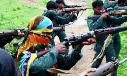 फुटू निकालने जंगल गए आदिवासियों को नक्सलियों ने बनाया निशाना फुटू निकालने जंगल गए आदिवासियों को नक्सलियों ने बनाया निशाना