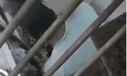 थूककर पॉलीथिन में पैक कर रहा था खाना- रेस्टोरेंटकर्मी पर एफआईआर थूककर पॉलीथिन में पैक कर रहा था खाना- रेस्टोरेंटकर्मी पर एफआईआर