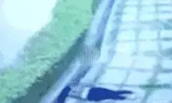 छुट्टी के दिन बुलाई छात्रा को गैंगरेप के बाद छत से फेंका- एफआईआर दर्ज छुट्टी के दिन बुलाई छात्रा को गैंगरेप के बाद छत से फेंका- एफआईआर दर्ज