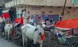 कौन दिशा में ले के चला रे बटुरियां- बैलगाड़ी में दुल्हन लेने निकला...