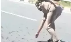 मवेशी भरे ट्रक चालक ने फेंके पैसे- सिपाही ने उठाए सड़क पर पड़े पैसे