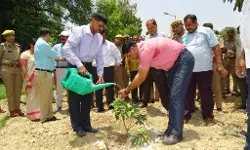 डीजी जेल ने कारागार मुख्यालय में “ अमृत उद्यान “ कराया निर्मित