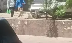 भागो भागो आ गये लेबर इंस्पेक्टर- बंदी के दिन दुकान खोलने वालों के..