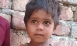 मौत बनकर टूटे कुत्तों ने मासूम को नोंच नोंच कर मौत के घाट उतारा