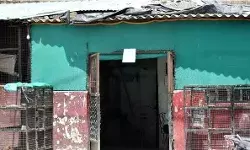 बमबाज गुड्डू मुस्लिम की चिकन शॉप पर ताला जड़ते हुए लगाई सील बमबाज गुड्डू मुस्लिम की चिकन शॉप पर ताला जड़ते हुए लगाई सील