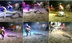 भाई की शादी में डीजे पर डांस- चुपके से आई मौत ले गई ऐसे जान भाई की शादी में डीजे पर डांस- चुपके से आई मौत ले गई ऐसे जान