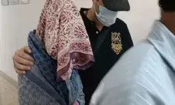 गदर 2 की हीरोइन फिर सुर्खियों में- अमीषा पटेल ने किया कोर्ट में सरेंडर गदर 2 की हीरोइन फिर सुर्खियों में- अमीषा पटेल ने किया कोर्ट में सरेंडर