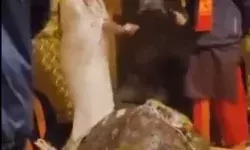 धन दौलत का भोंडा प्रदर्शन- केदारनाथ में महिला ने उड़ाए रुपए धन दौलत का भोंडा प्रदर्शन- केदारनाथ में महिला ने उड़ाए रुपए