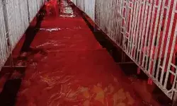 सीएम योगी की जनसभा पर संकट के बादल- पंडाल हुआ पानी पानी सीएम योगी की जनसभा पर संकट के बादल- पंडाल हुआ पानी पानी