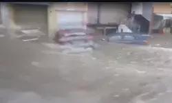 नदी बनी सड़क पर गाड़ियों ने दिखाए करतब- जमकर की तैराकी नदी बनी सड़क पर गाड़ियों ने दिखाए करतब- जमकर की तैराकी